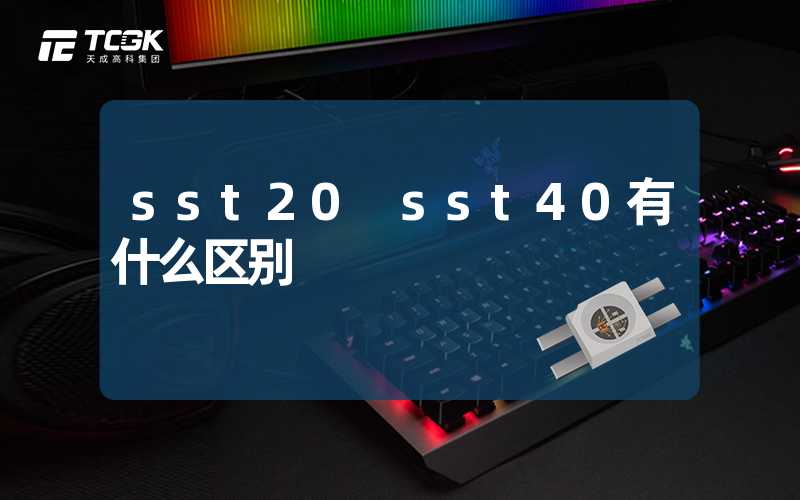 sst20 sst40有什么区别